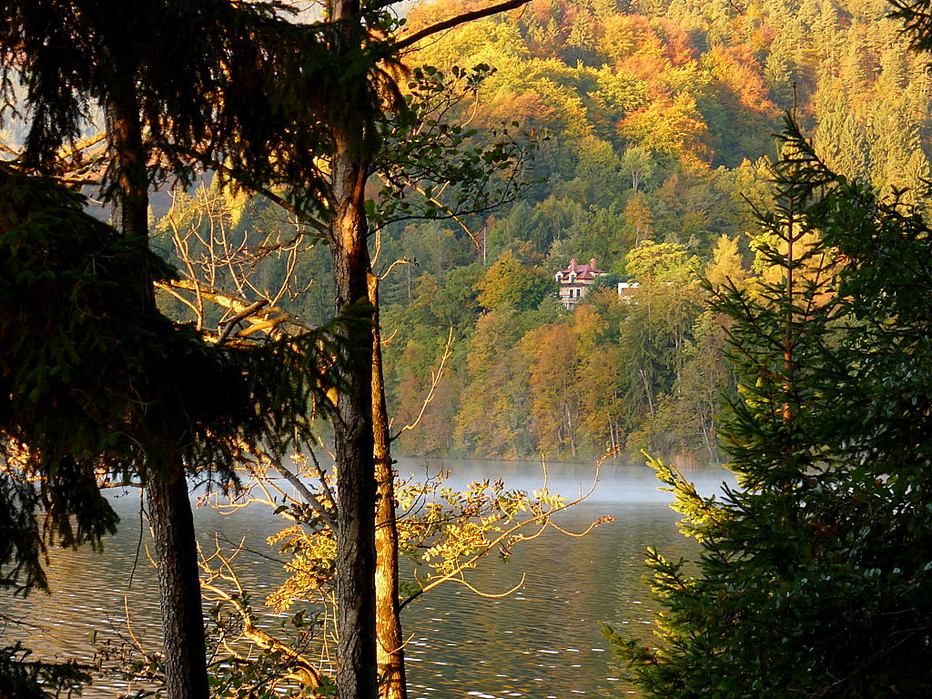 Bled Lake